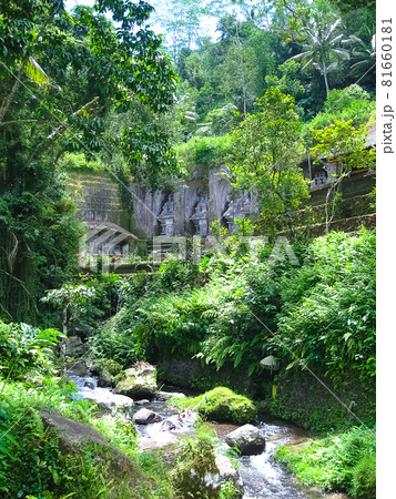 Gunung Kawi Temple and Candi in jungle at Bali 81660181