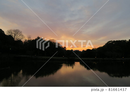 鷺池の夕景 鷺池の夕景 81661437