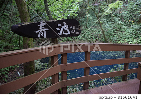 【青森・白神山地】十二湖 青池 【青森・白神山地】十二湖 青池 81661641