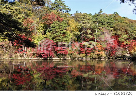 水面に映る紅葉がより一層魅力的 水面に映る紅葉がより一層魅力的 81661726