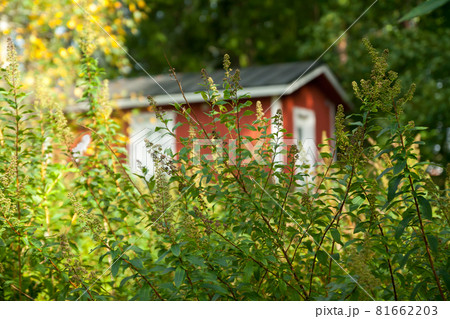 KOUVOLA, FINLAND - SEPTEMBER 20, 2018: Beautiful red old wooden house on the territory of Anjala manor. KOUVOLA, FINLAND - SEPTEMBER 20, 2018: Beautiful red old wooden house on the territory of Anjala manor. 81662203