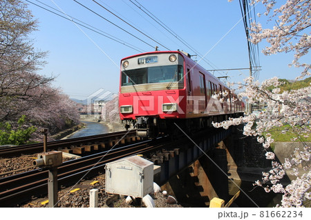 犬山の桜と電車 81662234