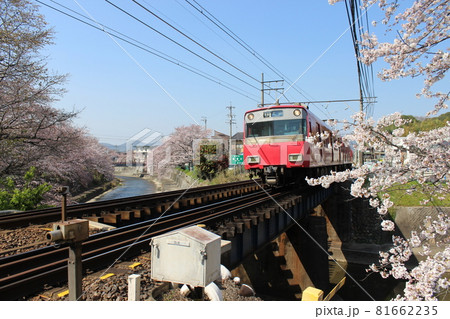 犬山の桜と電車 81662235