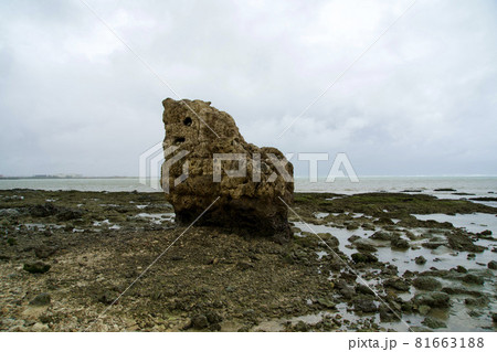磯に現れた大きな岩 磯に現れた大きな岩 81663188