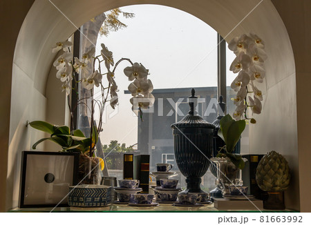 Beautiful antique tea cups and Ceramic jar collection with White orchid flower pot displayed in the window. 81663992
