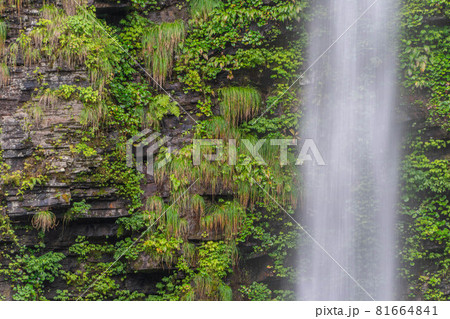 阿弥陀ケ滝 81664841