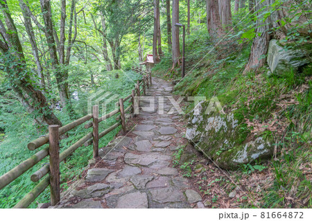 阿弥陀ケ滝 81664872