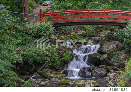 阿弥陀ケ滝 81664882