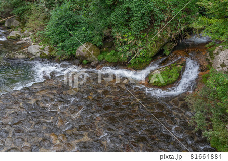 阿弥陀ケ滝 81664884