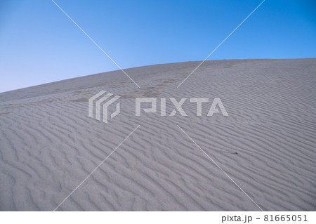 《鳥取県》鳥取砂丘・薄明の空 81665051