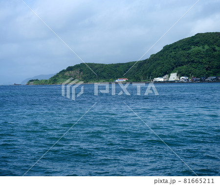 高知宿毛の田ノ浦漁港の海 高知宿毛の田ノ浦漁港の海 81665211