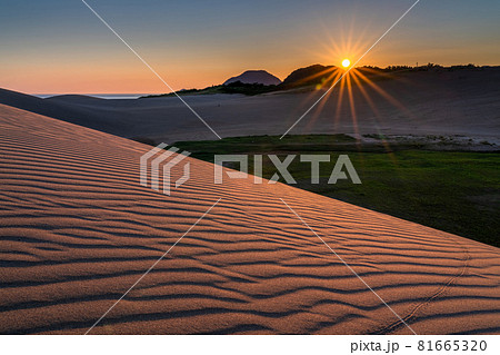 《鳥取県》鳥取砂丘の夜明け 81665320