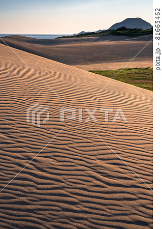 《鳥取県》鳥取砂丘・風紋の造形美 《鳥取県》鳥取砂丘・風紋の造形美 81665462