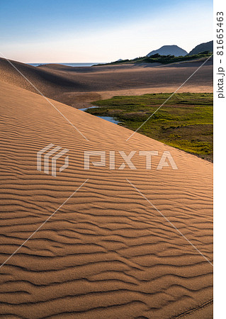 《鳥取県》鳥取砂丘・風紋の造形美 《鳥取県》鳥取砂丘・風紋の造形美 81665463