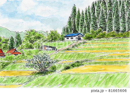 棚田の秋のイラスト素材 [81665606] - PIXTA