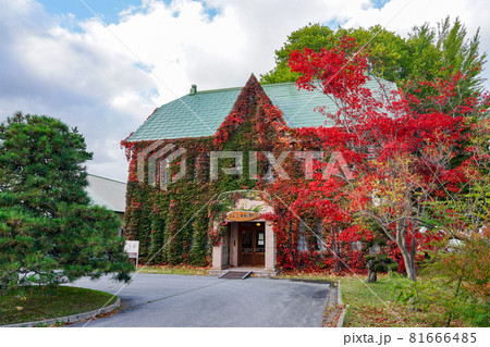 赤く染まったツタの絡まる洋館　りんご史料館（青森県黒石市） 81666485