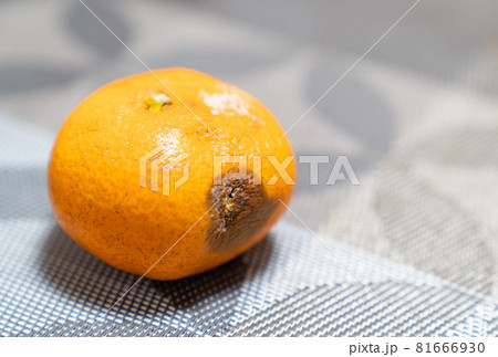 腐ったミカンの写真 81666930