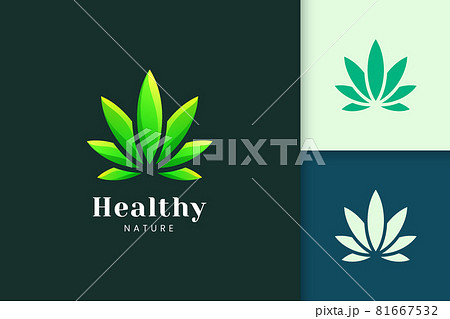 Green leaf shape for cannabis or marijuana logo represent drug or herbal Green leaf shape for cannabis or marijuana logo represent drug or herbal 81667532
