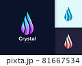 Crystal water logo for beauty and cosmetic brand 81667534
