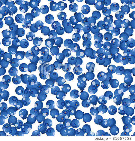 Seamless pattern with blueberry on white background. Natural fresh ripe tasty blueberries. Vector illustration for background, packaging, textile, fabric and various other designs Seamless pattern with blueberry on white background. Natural fresh ripe tasty blueberries. Vector illustration for background, packaging, textile, fabric and various other designs 81667558