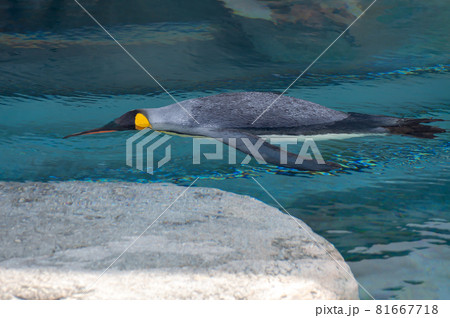 アイコン自動整列の背景壁紙 81667718