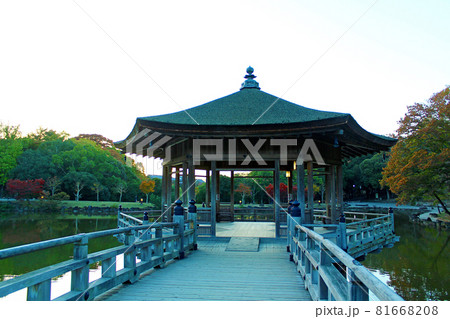 【奈良】秋の奈良公園 夕暮れ迫る浮見堂 【奈良】秋の奈良公園 夕暮れ迫る浮見堂 81668208