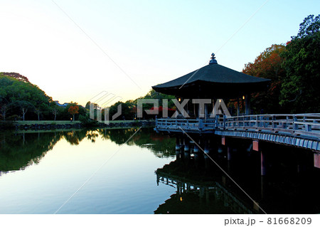 【奈良】秋の奈良公園　夕暮れ迫る浮見堂 81668209