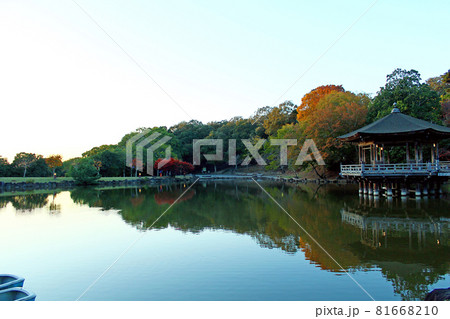 【奈良】秋の奈良公園　夕暮れ迫る浮見堂 81668210