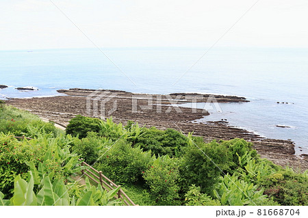 宮崎県日南海岸の波状岩 宮崎県日南海岸の波状岩 81668704