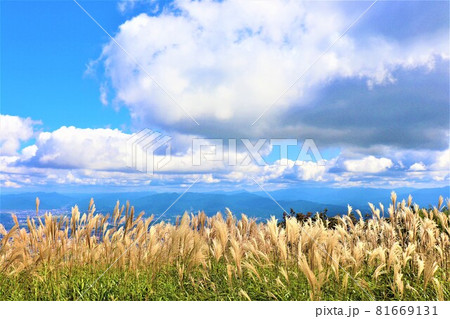 大和葛城山 大和葛城山 81669131
