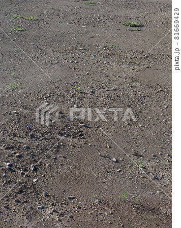 荒地 草原 野原 雑草 土地 荒地 草原 野原 雑草 土地 81669429