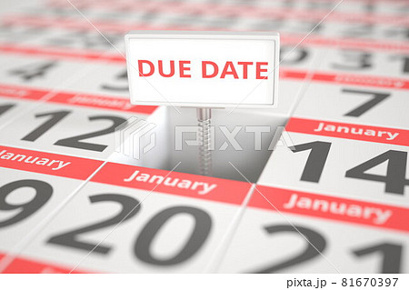 DUE DATE sign on January 13 in a calendar, 3d rendering 81670397