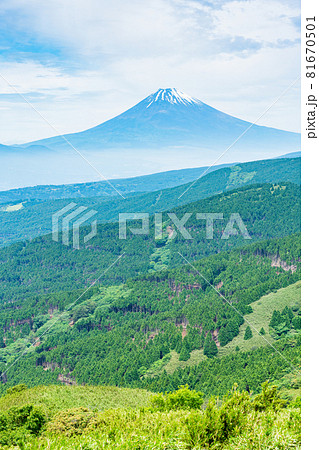 (静岡県)初夏の箱根十国峠から、富士山 (静岡県)初夏の箱根十国峠から、富士山 81670501