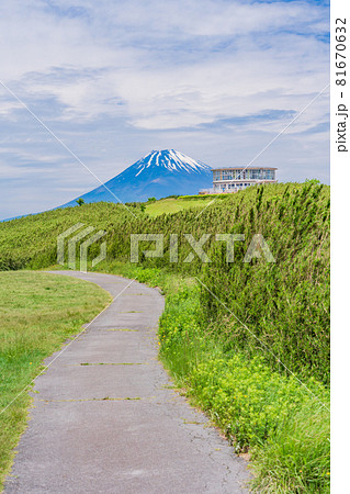 (静岡県)初夏の十国峠展望台、富士山 (静岡県)初夏の十国峠展望台、富士山 81670632