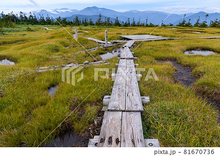 苗場山の山頂付近の湿原と木道 苗場山の山頂付近の湿原と木道 81670736