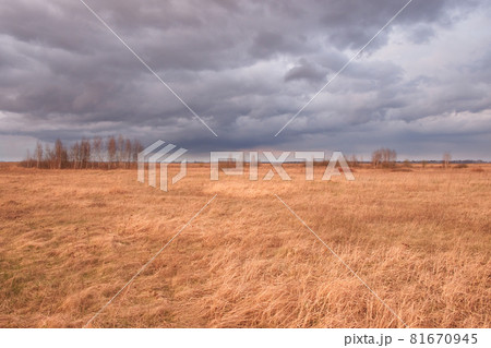 Cloudy dramatic sky over the autumn steppe. Bright dry field herbs. 81670945