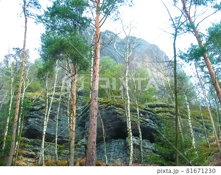 Saxony park in Germany with stones 81671230