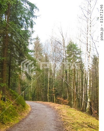 Saxony park in Germany with stones 81671246
