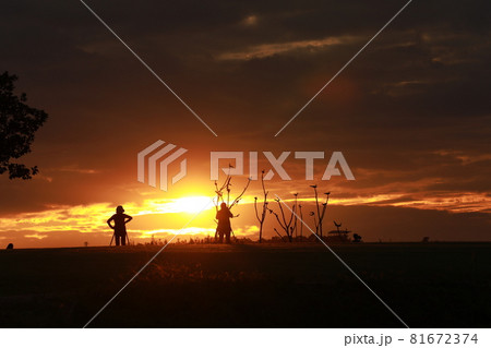 空 シルエット 夕焼け 81672374