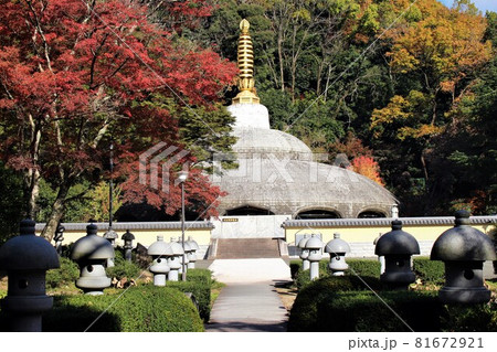 久安寺・仏塔・舎利殿涅槃堂と紅葉 久安寺・仏塔・舎利殿涅槃堂と紅葉 81672921