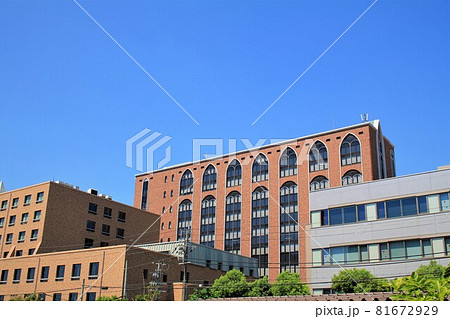 近畿大学 81672929