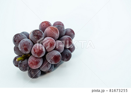 ピオーネイメージ 81673255