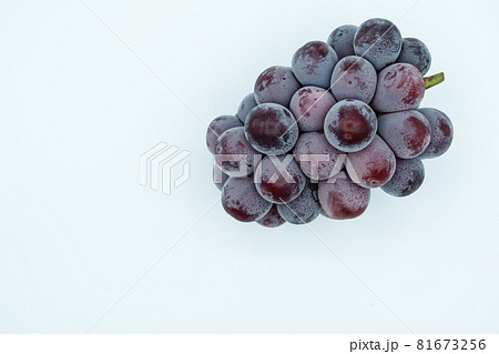 ピオーネイメージ 81673256