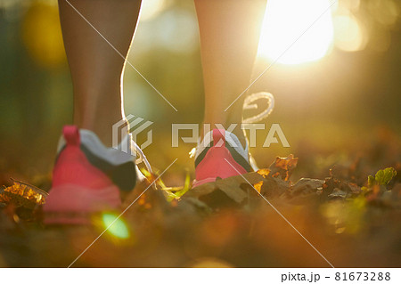 Legs of active woman in sport sneakers running at park 81673288