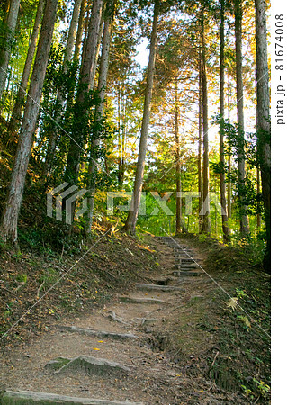 明智光秀ゆかりの地　明知城跡(白鷹城)　岐阜県恵那市史跡 81674008