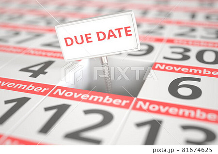 DUE DATE message on November 5 in a calendar, 3d rendering 81674625