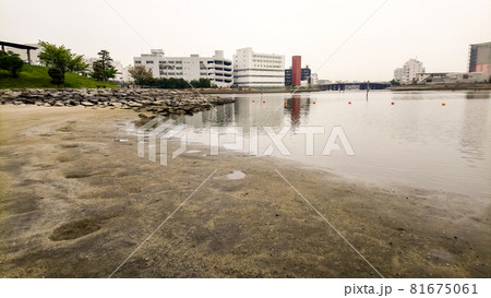 広々として閑散とした砂浜 大森の浜辺公園にて 広々として閑散とした砂浜 大森の浜辺公園にて 81675061