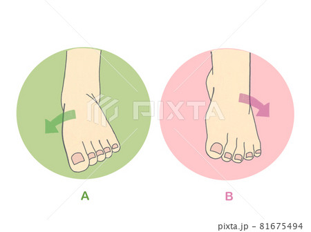 足首の回内と回外 内転と外転 の方向のイラスト素材