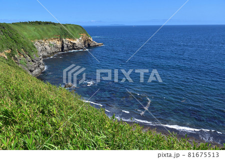 城ヶ島・ウミウ展望台 城ヶ島・ウミウ展望台 81675513