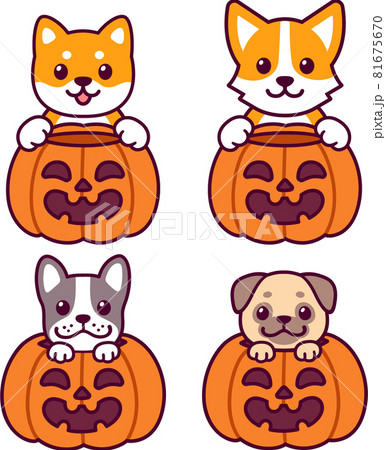 Cute cartoon dogs with Halloween pumpkins Cute cartoon dogs with Halloween pumpkins 81675670